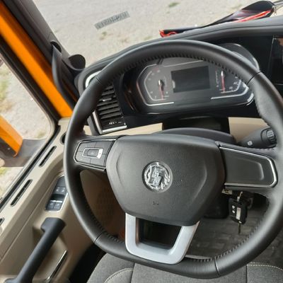 SX33195D406 Shaanxi Automobile Delong 8X4 12 Wheel Mining Dump Truck 470HP Truck de transporte